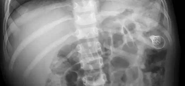 Child Safety during the Holiday Season