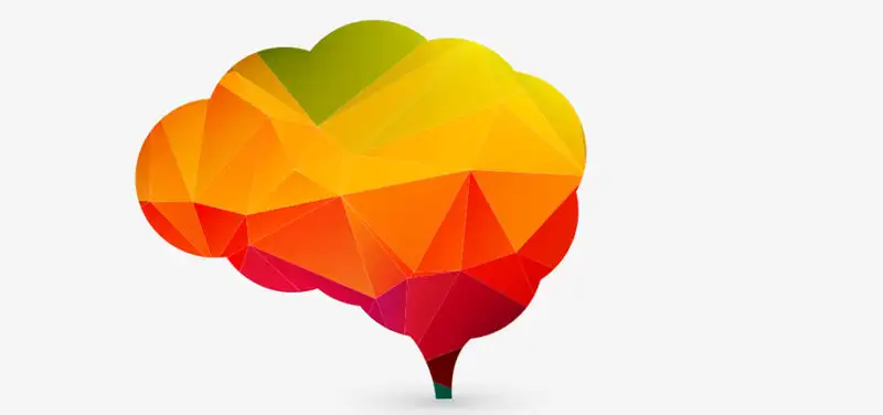 What Happens To Your Brain When It’s At Rest?