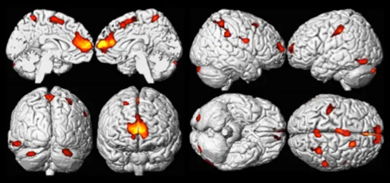 Researching How Flame-Retardant Chemicals May Impact Development