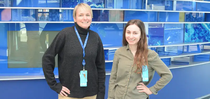 Clinical Research Coordinators: Who Are They?