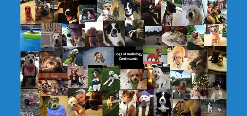 Happy National Dog Day!