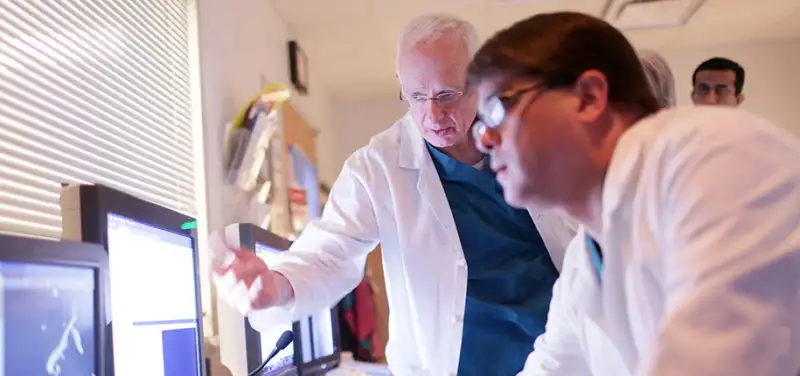 Dr. Neil Johnson: Recipient of Janet Pettit Scholar Award