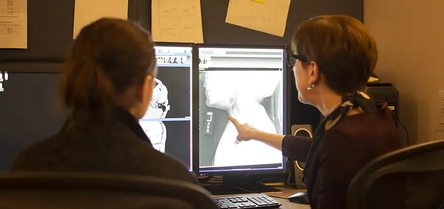 Medical Students in Pediatric Radiology