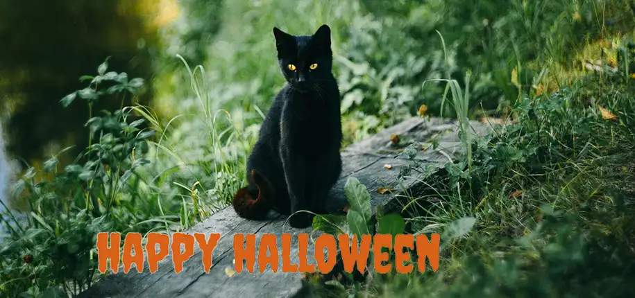 Happy Halloween 2023!