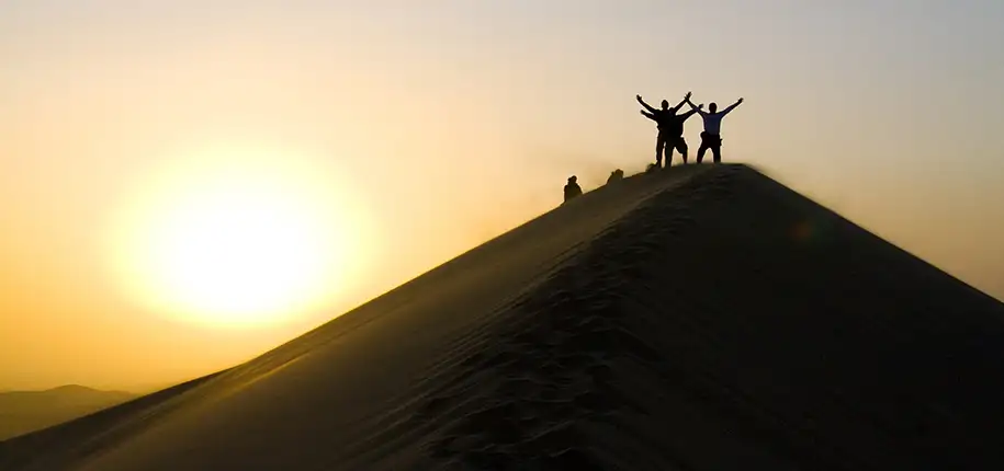 Radiology Patient & Family Experience, March Data Updates